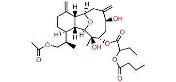 Hirsutalin B